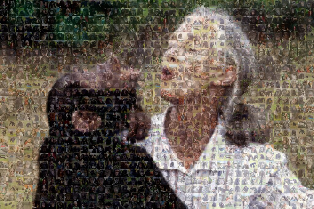 Goodall - Fractegrity Mosaic of Jane Goodall