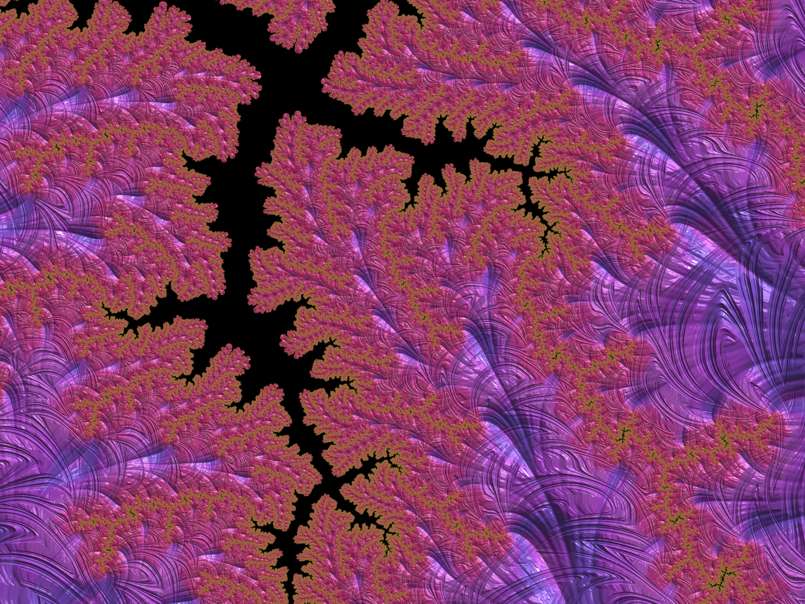 Fractal075 - Fractegrity Abstract fractal artwork with pink and purple coral-like shapes separated by black gaps, creating a vibrating, swirling pattern.