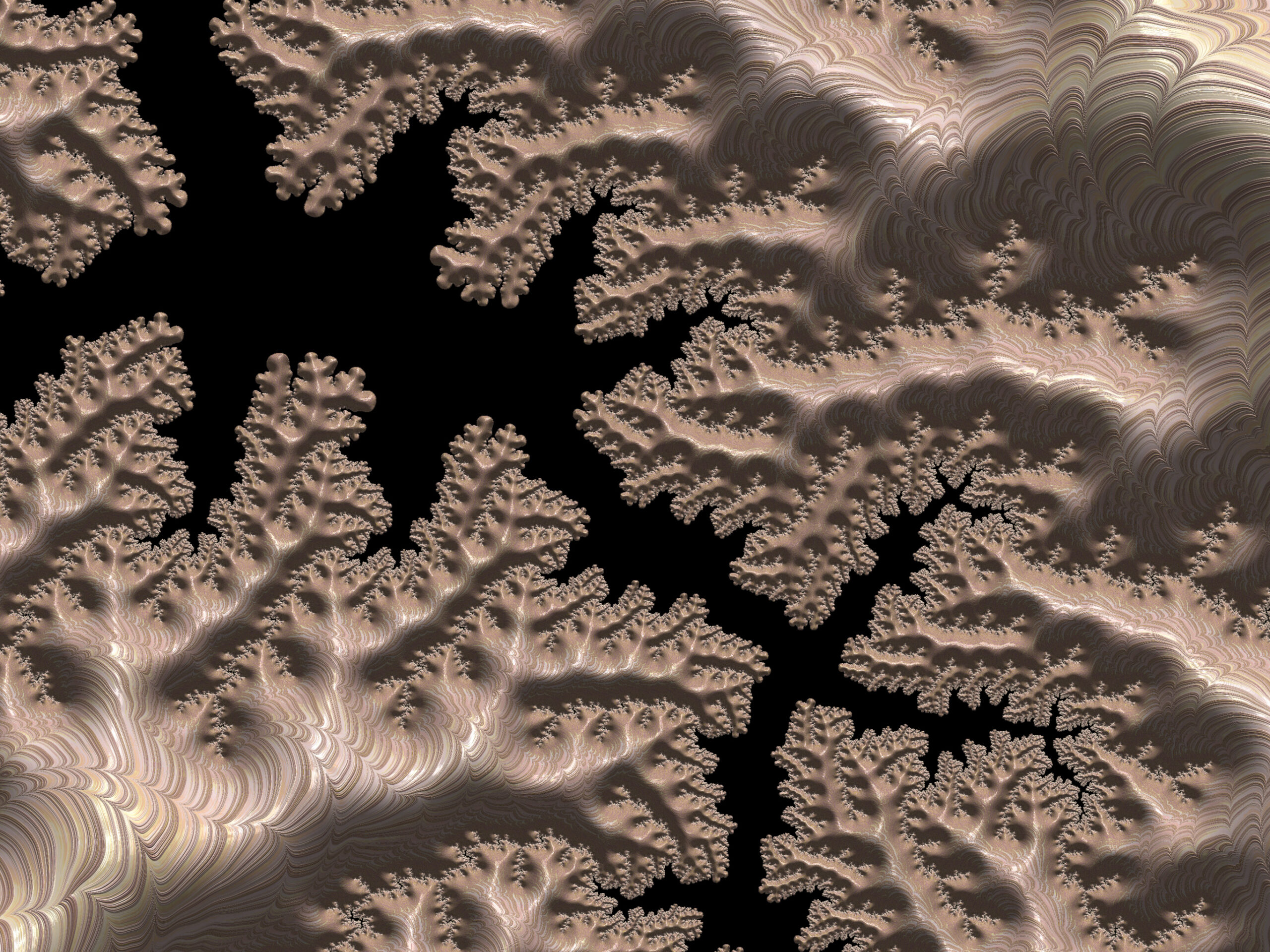Abstract fractal pattern with beige-brown branching forms against a black background, like coral or tree limbs in a swirling landscape